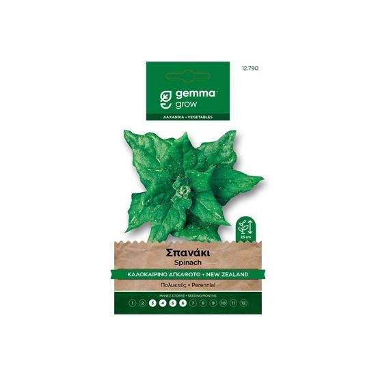 Σπανάκι καλοκαιρινό αγκαθωτό · New Zealand spinach 12790
