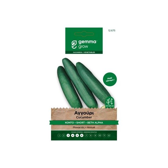 Αγγούρι κοντό · Short cucumber 12675
