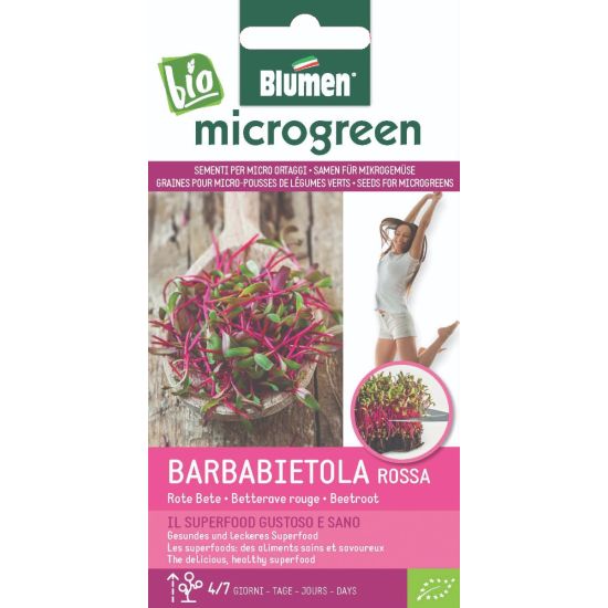 Παντζάρι κόκκινο - Microgreens Barbabietola Rossa