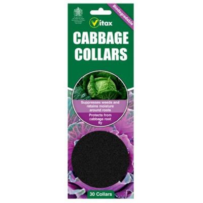 Κολάρα για Λάχανα-Geo Cabbage Collars