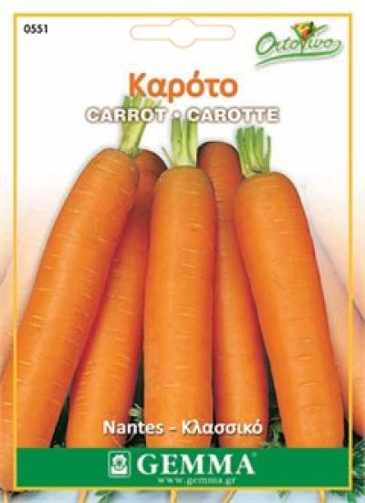Καρότο κλασικό · Classic carrot 12691