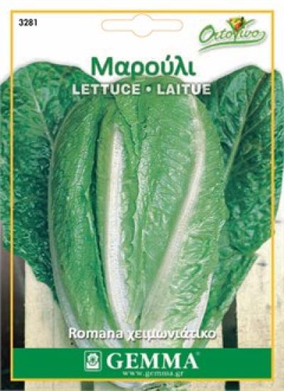 Μαρούλι ίσιο · Romaine lettuce 12728