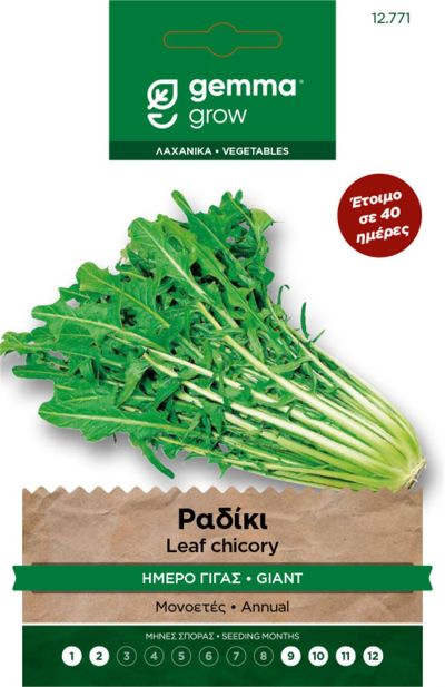 Ραδίκι ήμερο γίγας · Giant leaf chicory 12771