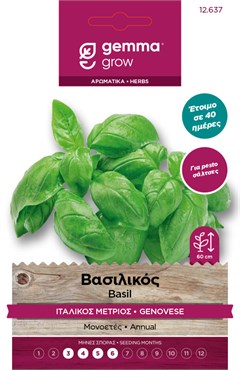 Βασιλικός ιταλικός μέτριος 12637