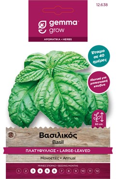 Βασιλικός πλατύφυλλος 12638