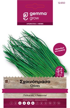 Σχοινόπρασο 12650