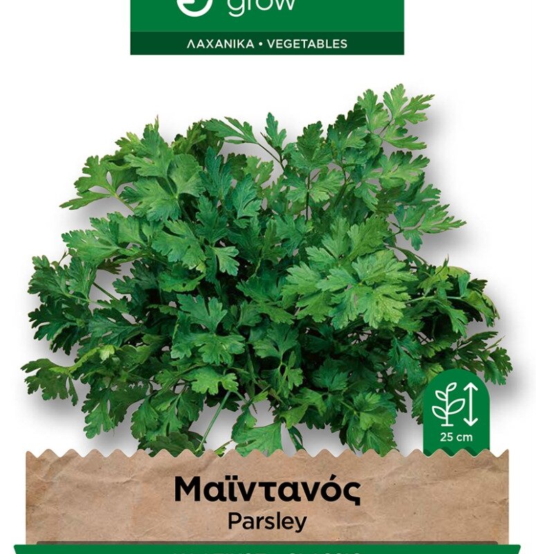 Μαϊντανός κλασικός · Classic parsley 12724