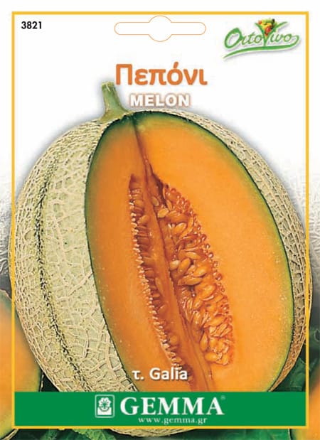 Πεπόνι τ. Galia · Galia type melon 12754