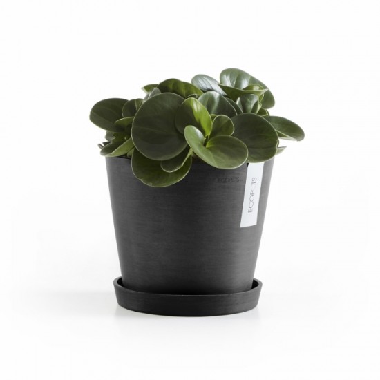 Γλάστρα στρογγυλή Amsterdam 20