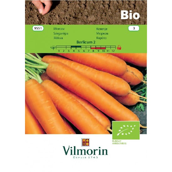 Βιολογικοί σπόροι Καρότο Berlicum 2 9551