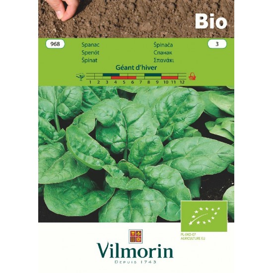 Βιολογικοί σπόροι Σπανάκι 'Geant D'Hiver' 968