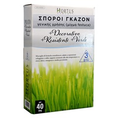 Γκαζόν Festuca Arudinacea