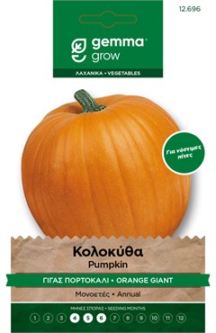 Κολοκύθα γίγας πορτοκαλί · Orange giant pumpkin 12696