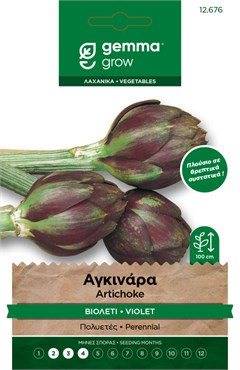 Αγκινάρα βιολετί · Violet artichoke 12676