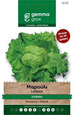 Μαρούλι iceberg · Iceberg lettuce 12731
