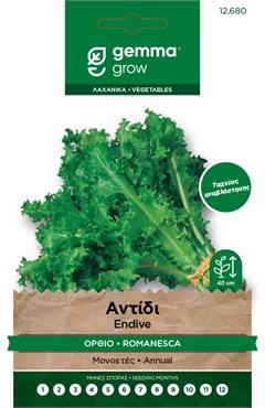 Αντίδι Κατσαρό όρθιο · Romanesca endive 12680