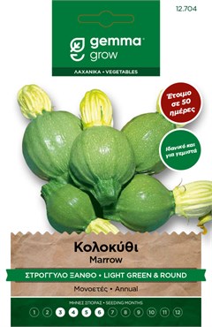 Κολοκύθι στρογγυλό ξανθό · Light green & round marrow 12704