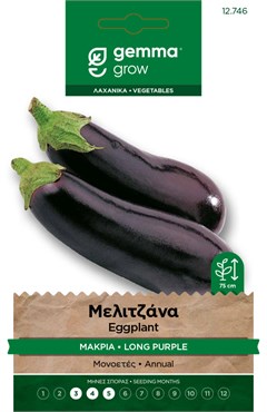 Μελιτζάνα μακριά · Long purple eggplant 12746
