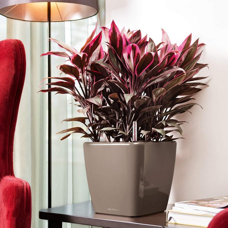 Γλάστρα Quadro 28 LS