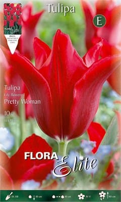 Βολβοί Τουλίπα Pretty Woman (Φάκελος 10 τεμάχια )