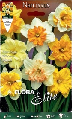 Βολβοί Νάρκισσος Corona Μίγμα (Φάκελος 5 τεμάχια)