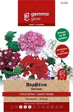Βερβένα γίγας μίγμα 12536