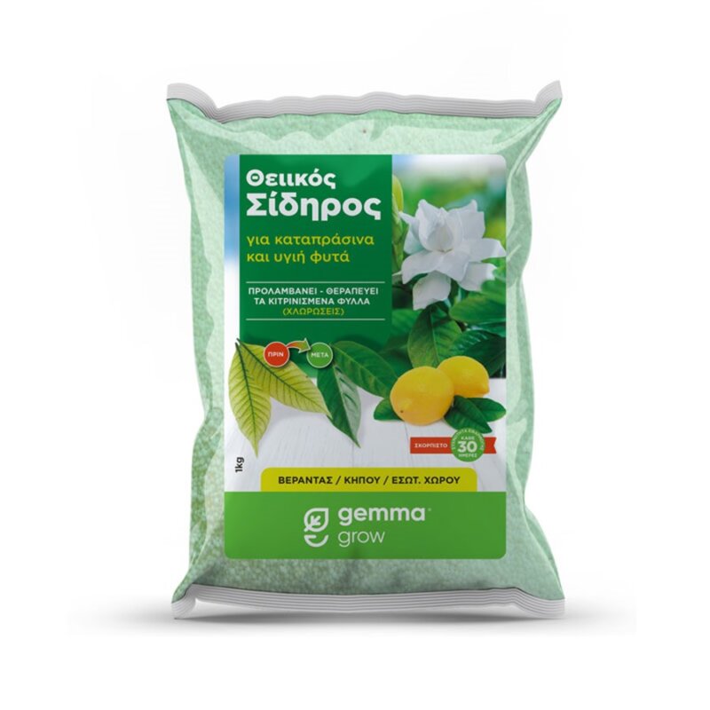 Θειικός σίδηρος