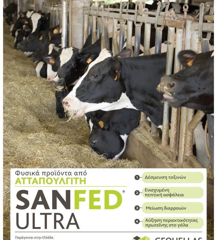 Κτηνοτροφικός Ατταπουλγίτης SANFED ULTRA 20KG