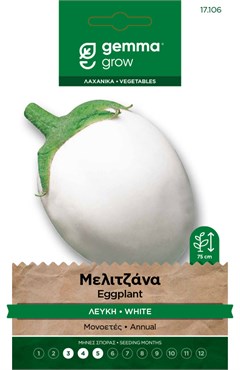 Μελιτζάνα λευκή 17106