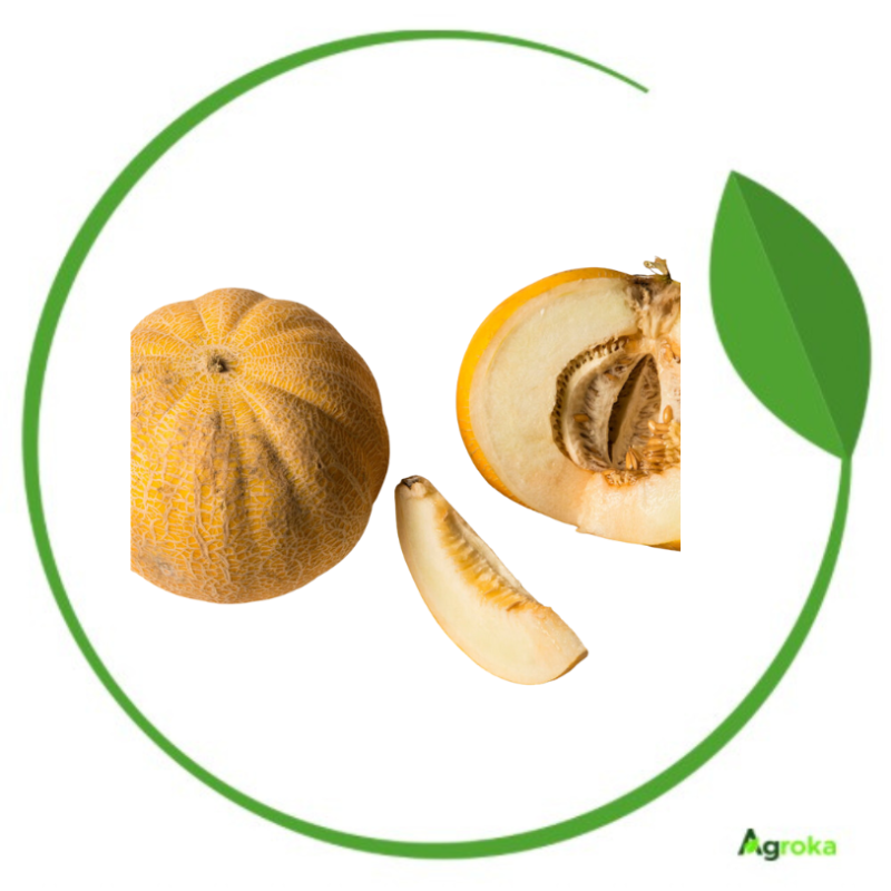 Πεπόνι Ποικιλία Ζακύνθου 20gr