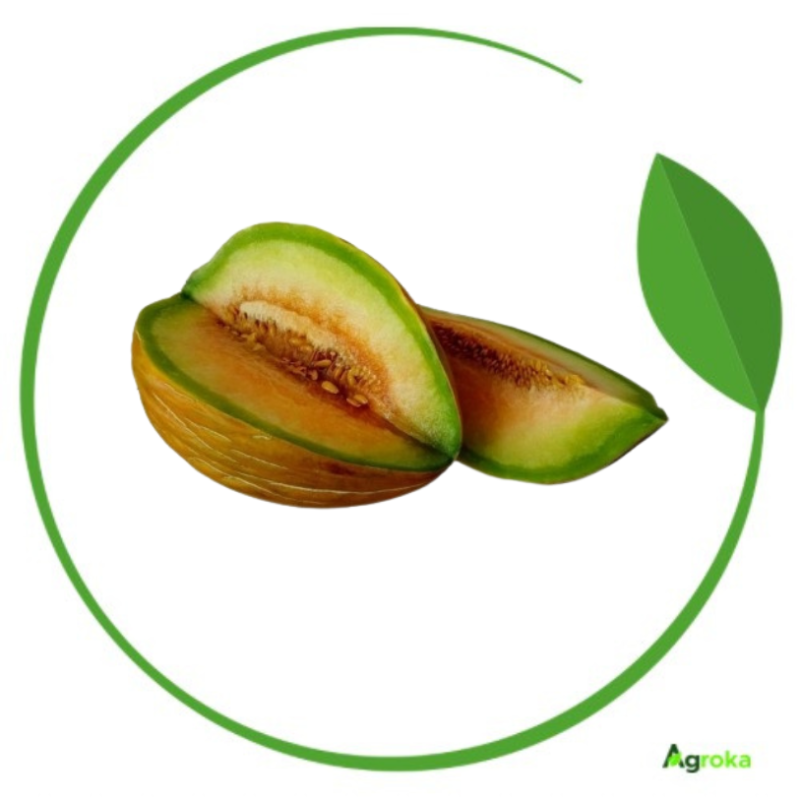 Πεπόνι Ποικιλία Αγίου Βασιλείου 20gr