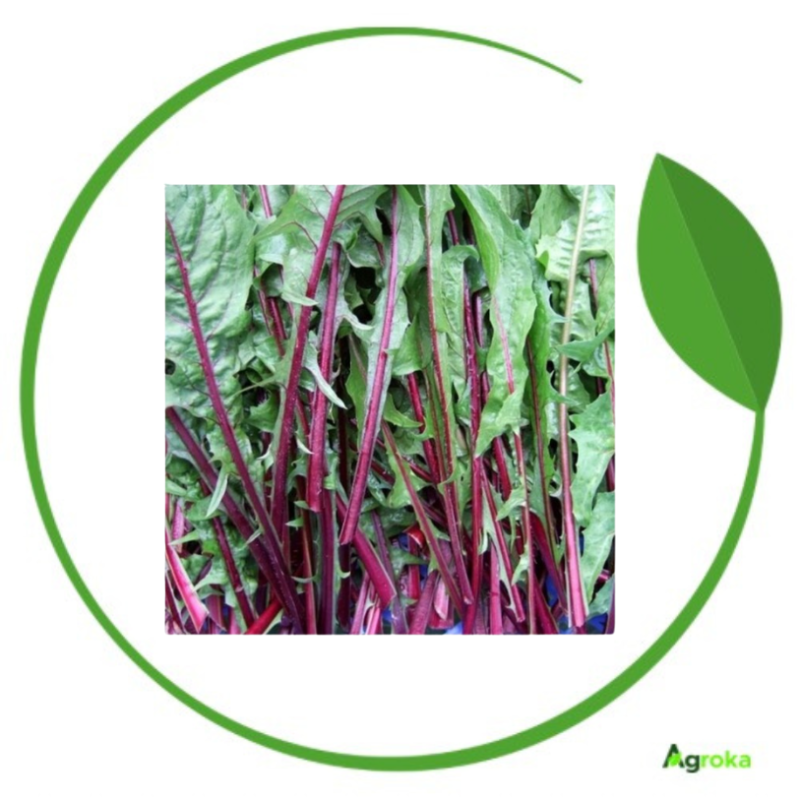 Ραδίκι ιταλικό 500gr