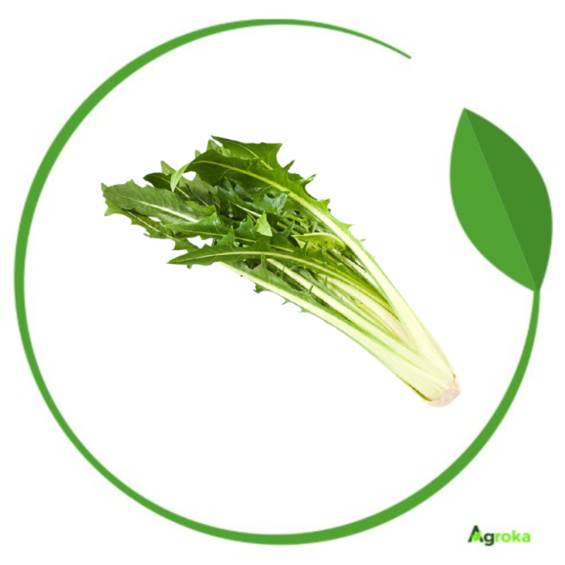 Ραδίκι άγριο άσπρο 500gr