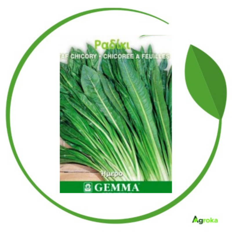 Ραδίκι ήμερο 500gr