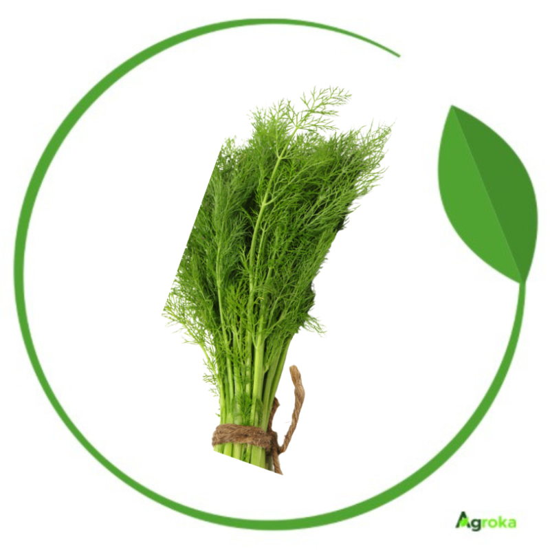 Άνηθος plain Ducat 500gr