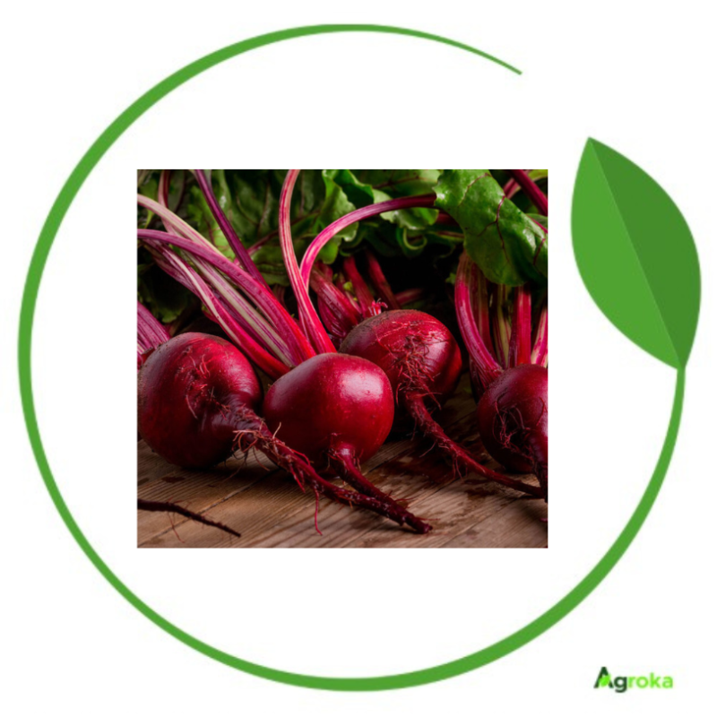 Πατζάρι Red Bull 500gr