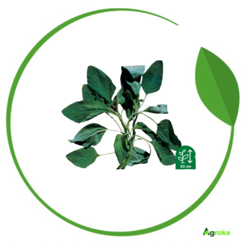 Βλίτο εγχώριο FYTO 1kg