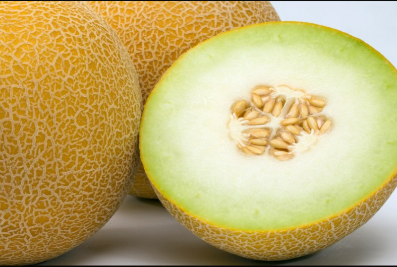 Σπόρος πεπόνι KIRENE F1 φακ. 1000 σπόρων