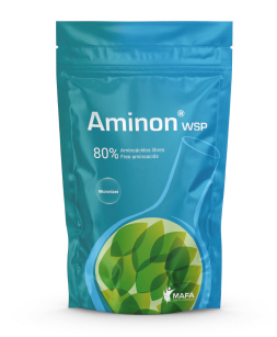 Μίγμα Αμινοξέων Aminon WSP 1kg
