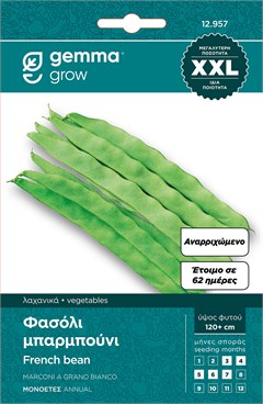Φασόλι μπαρμπούνι πράσινο αναρριχώμενο 12957