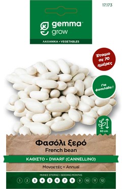 Φασόλι ξερό καθιστό 17173