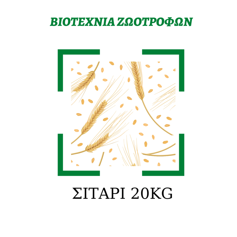 Σιτάρι 20kg (κατάλληλο για περιστέρια)