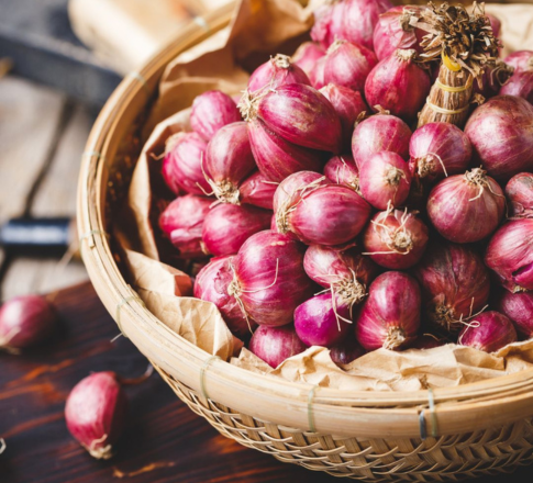 Λίγα λόγια για το Κρεμμύδι…