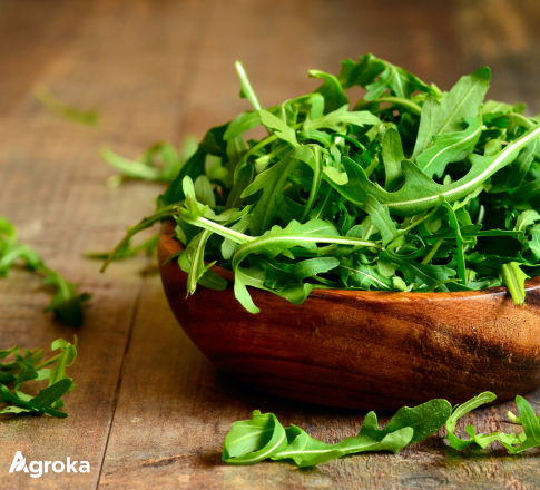 ΛΑΧΑΝΙΚΑ express