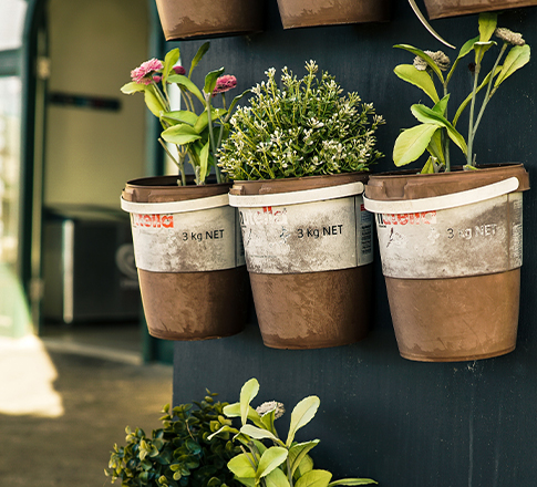 Πώς να φτιάξεις τον δικό σου βοτανόκηπο στο σπίτι