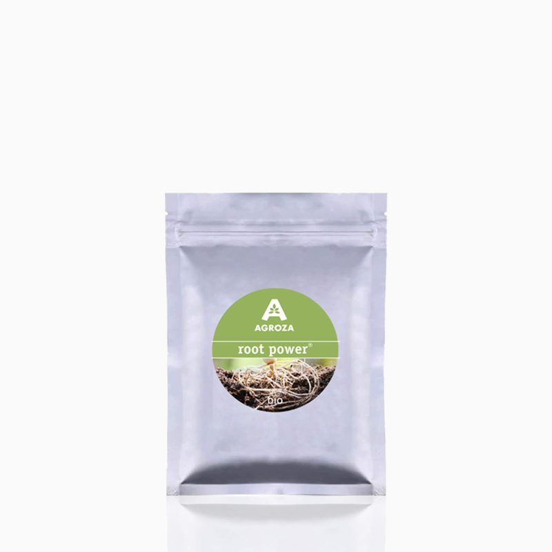 Μυκόρριζες Root Power (24 ταμπλέτες/τεμάχιο)