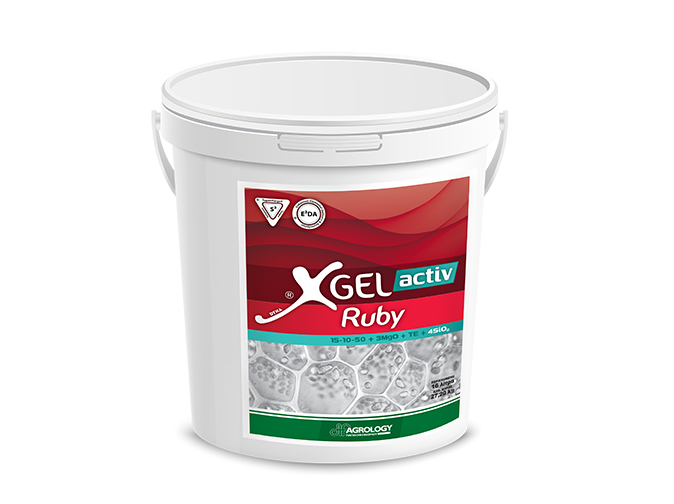 Υγρό λίπασμα XGel activ Ruby 15-10-50 + TE