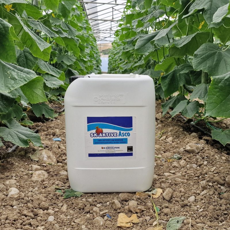 Υγρό λίπασμα με φύκια SK AKTIVE Asco 20Lt