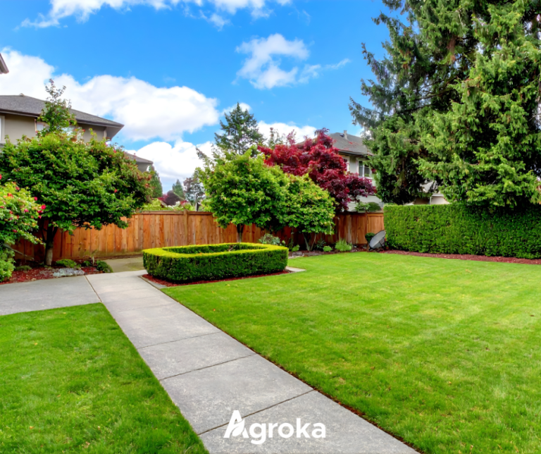 🌱 Πώς να δημιουργήσετε έναν υγιή και καταπράσινο χλοοτάπητα με σπόρους Barenbrug