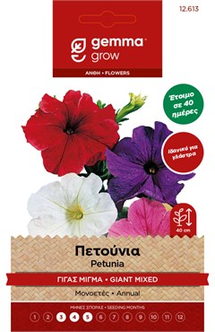 Πετούνια Γίγας Μίγμα φάκελος σπόρων 12613